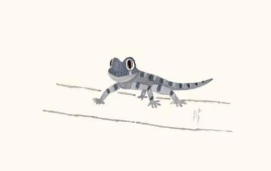 The Gecko Borrows Its Tail